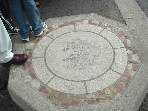 Slave Tree Cape Town